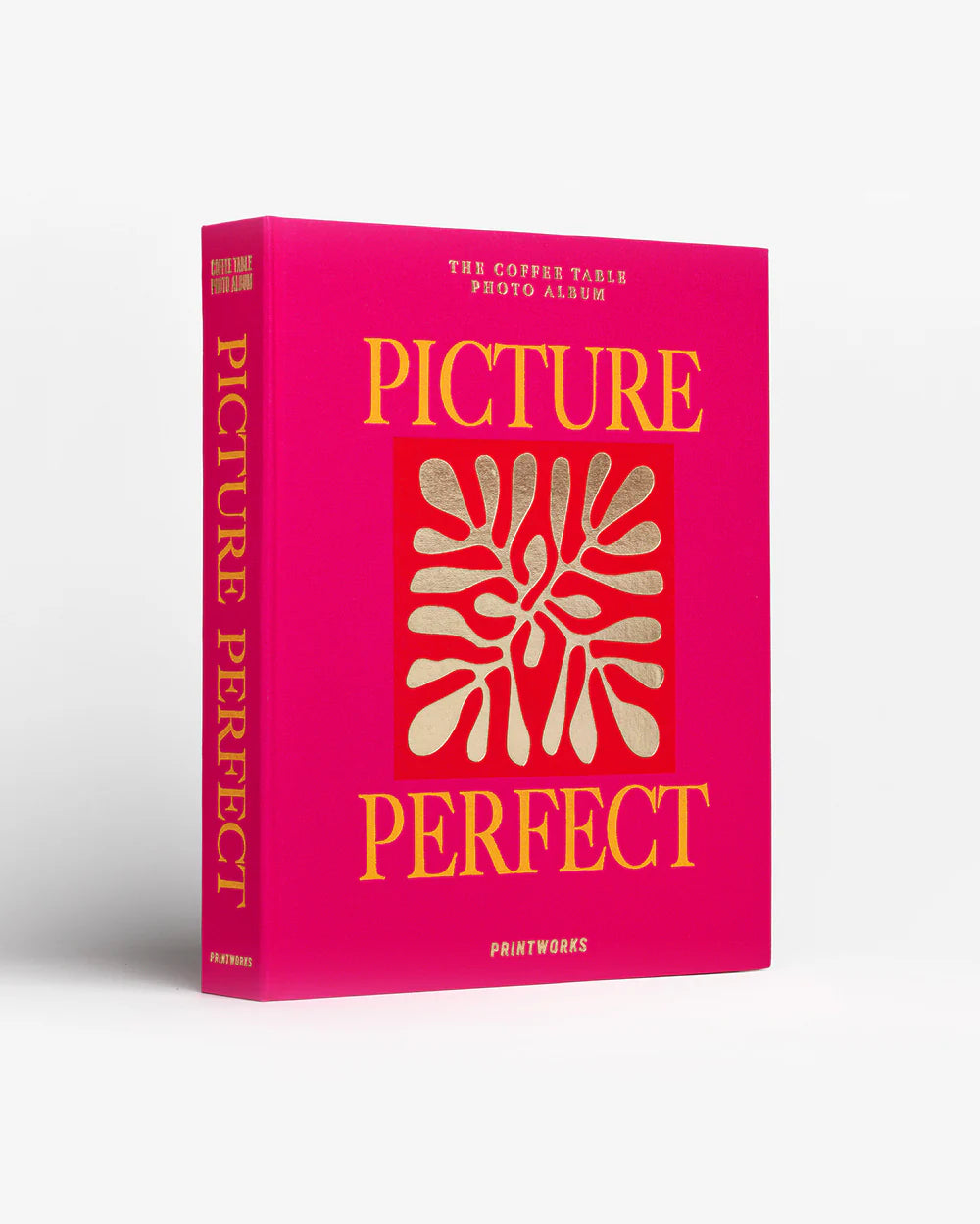 Photo Album PICTURE Perfect