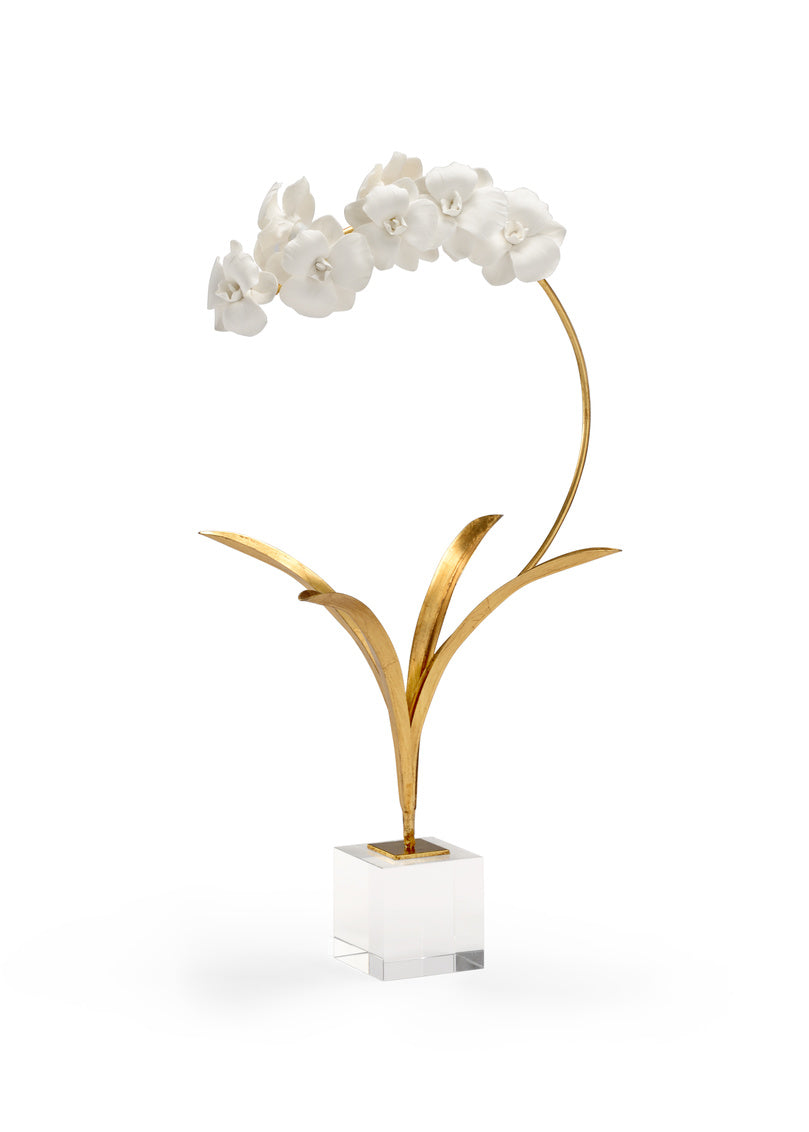 Small Orchid On Stand