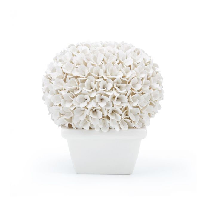 Boston Round Boxwood Topiary, Blanc de Chine
