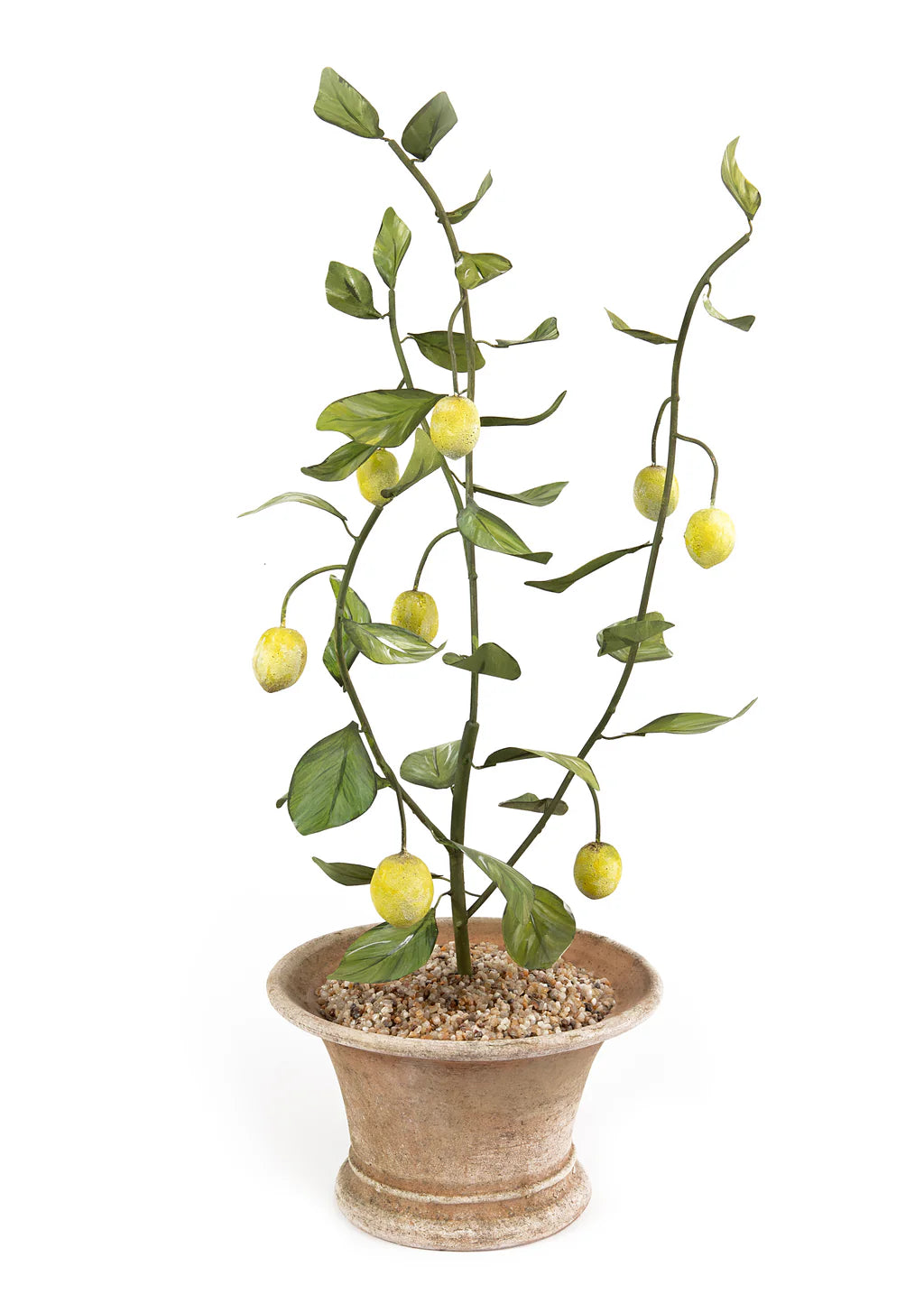 POTTED LEMON TREE
