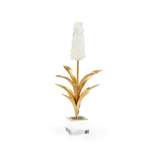 White Hyacinth