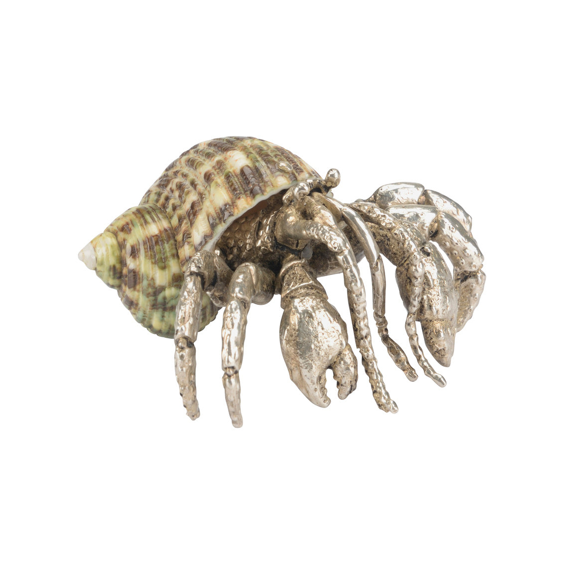 Hermit Crab Paperweight