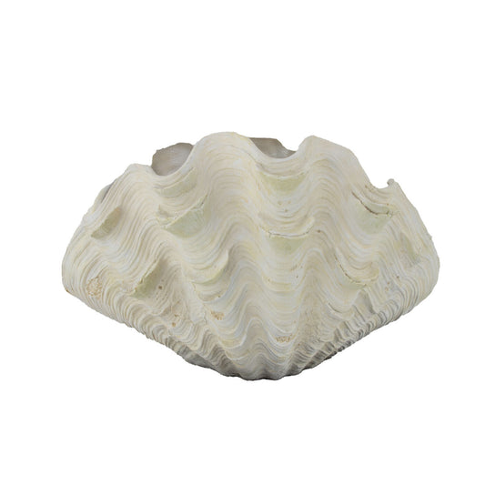 Clam Shell