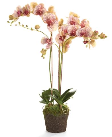 PHALAENOPSIS ORCHID DROP-IN 32"