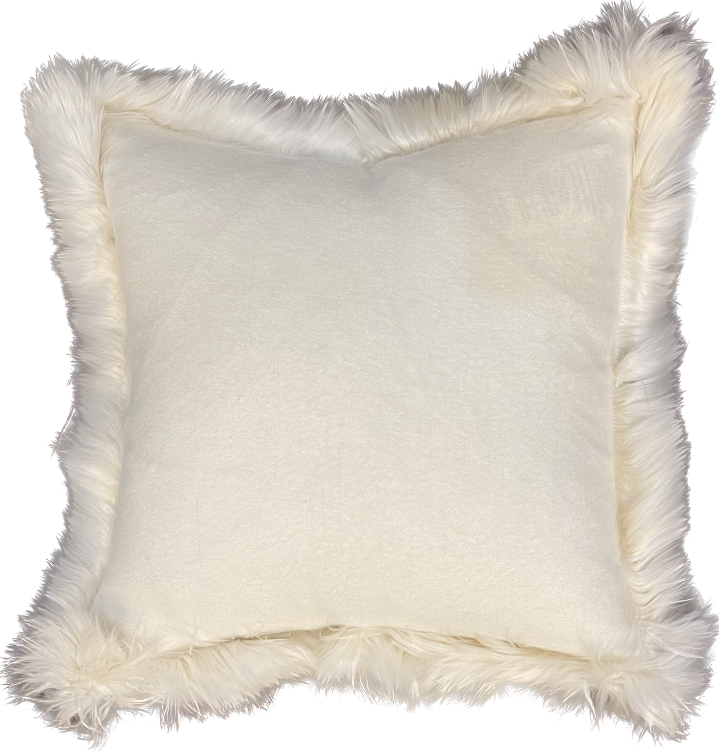 FUR TRIM PILLOW