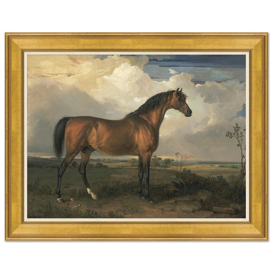 Champion Horse I