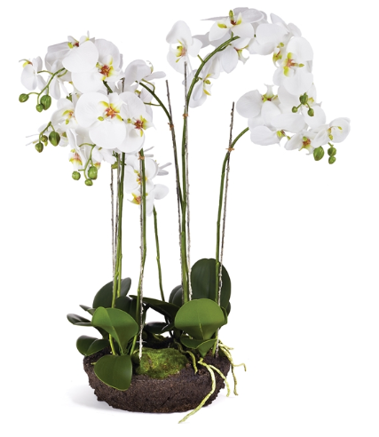 WHITE PHALAENOPSIS BOWL DROP-IN 31.5"