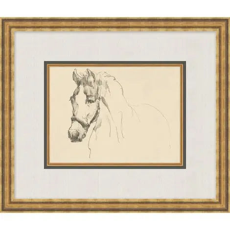 Equine Lines 4