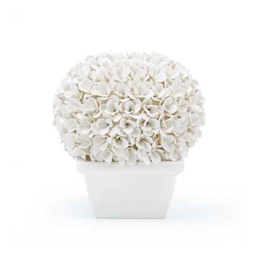Boston Round Boxwood Topiary, Blanc de Chine