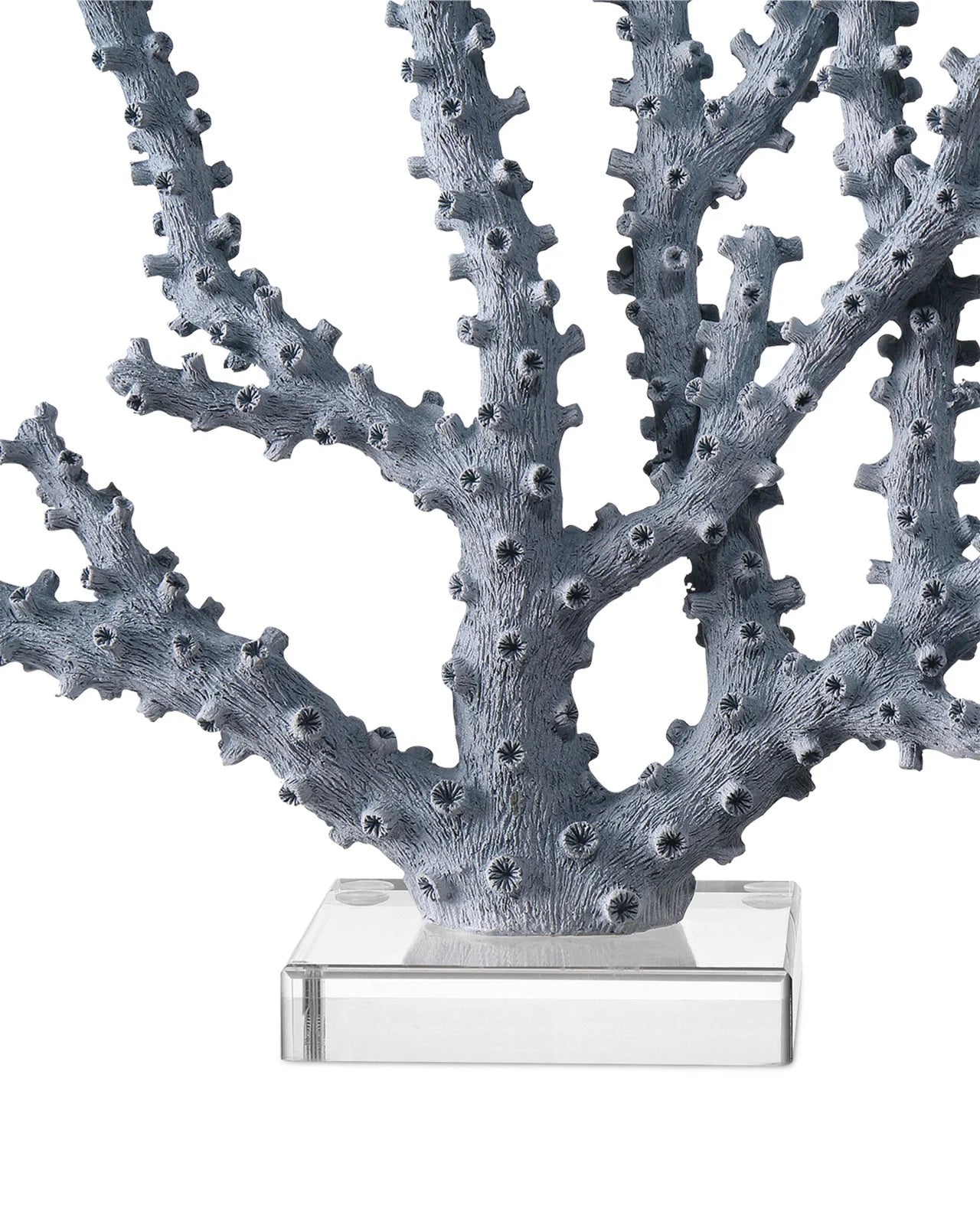 Blue Coral- Large