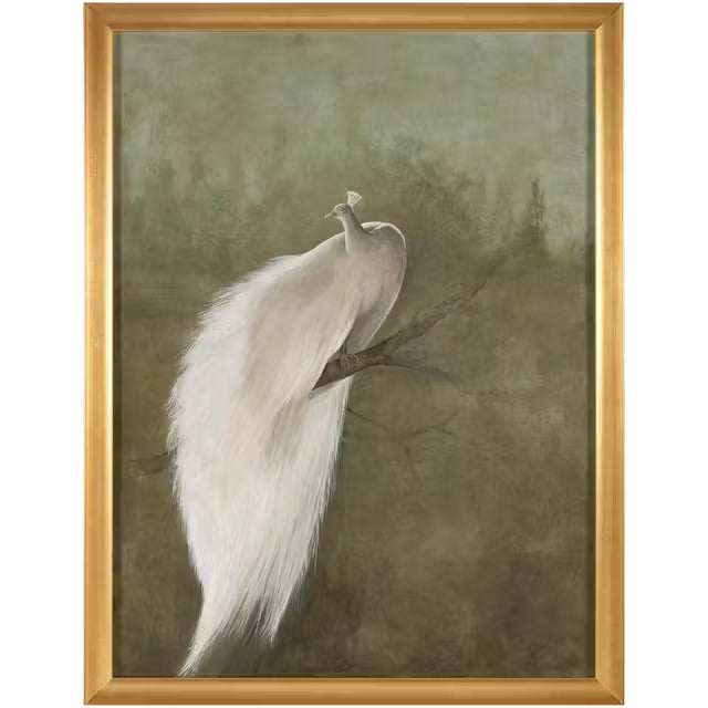 Debra Ferrari's The White Peacock