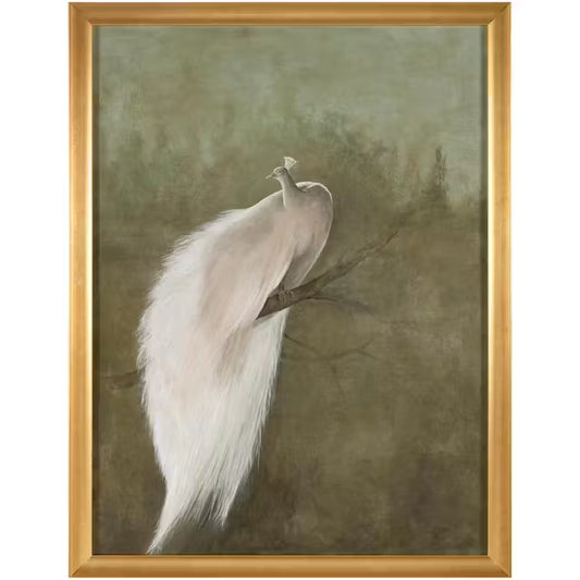 Debra Ferrari's The White Peacock